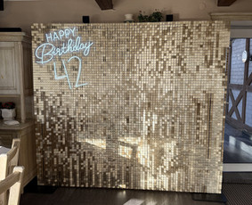 Šventinės įrangos nuoma - Foto sienos nuoma - 1