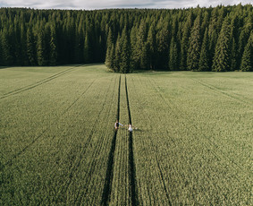 Vestuvių filmavimas ir fotografavimas - Vestuvių videografas / Donatas / Darbų pavyzdys ID 4166884