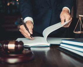 Teisinės paslaugos - Bankroto ir nemokumo teisės advokatas - 1