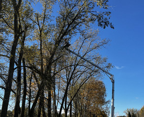 Transportas - Šakų,šiukšlių,statybinio laužo išvežimas - 4