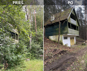 Sklypų tvarkymas: medžių ir krūmų pjovimas su išvežimu. / Albertas Rakuckis / Darbų pavyzdys ID 4168384