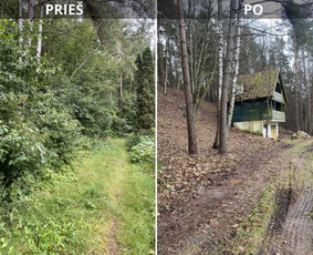 Aplinkos tvarkymas, apželdinimas - Sklypų tvarkymas: medžių ir krūmų pjovimas su išvežimu. - 1