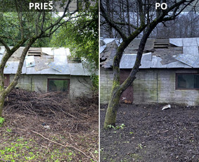 Aplinkos tvarkymas, apželdinimas - Sklypų tvarkymas: medžių ir krūmų pjovimas su išvežimu. - 4