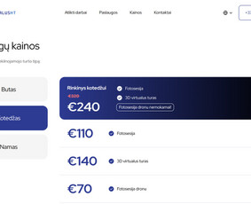 Svetainių kūrimas - Reprezintacinės internetinės svetainės Seo - 4