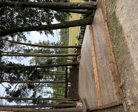 Terasos-stoginės-sandėliukai– Profesionalūs Sprendimai / Povilas / Darbų pavyzdys ID 4169108