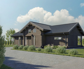 3D vizualizacijos / Nt marketingas / 3DnR architektūrinė grafika / Darbų pavyzdys ID 4169398