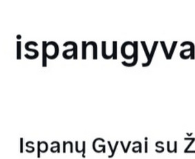 Ispanų kalbos kursai, pamokos - @Ispanugyvai. Ispanų kalbos mokymai - 2