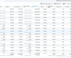 Reklamos paslaugos - Facebook/instagram/tiktok Reklama Pajamu Generavimui - 4