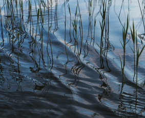 Renginių organizavimas - Renginių Rapsodija: įmonių renginiai ir teambuildingai - 4