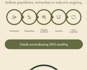 Paslaugos verslui - Seo paslaugos: auditas, optimizavimas, abonementas - 3