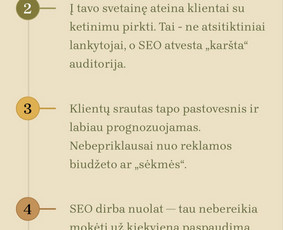 Paslaugos verslui - Seo paslaugos: auditas, optimizavimas, abonementas - 4