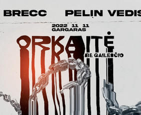 Vizitinių kortelių maketavimas - Grafinis dizainas / Ui/ux dizainas / Firminis stilius - 4