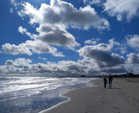 Mokymai, kursai, kalbos - Išmok italų kalbos online - 4