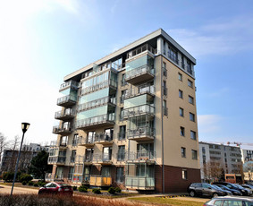 Kitos kategorijos - NT brokeris Mindaugas Gruodis - 2