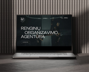Grafinis dizainas / Web dizainas / Firminis stilius / Diana Pielikytė / Darbų pavyzdys ID 4173157