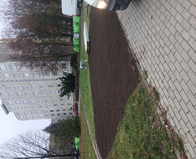 Griovimo darbai - Viso tipo griovimo darbai - 4