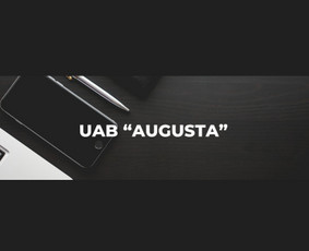 Įmonių steigimas (UAB, MB, VšĮ) - Teikiamos buhalterinės paslaugos - 2