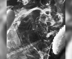 Muzikos kūrimas - Release-ready mixas ir masteris - 3