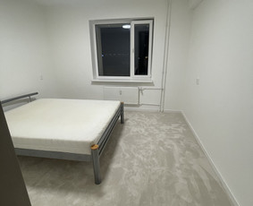 Palangių montavimas - Tomo Apadaila - 2