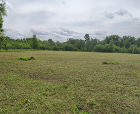 Apleistų sklypų tvarkymas - Sniego valymas, Aplinkos tvarkymas - 3