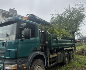 Apleistų sklypų tvarkymas - Medžių, krūmų pjovimas, genėjimas, apleistų sklypų tvarkymas - 3