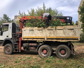 Apleistų sklypų tvarkymas - Medžių, krūmų pjovimas, genėjimas, apleistų sklypų tvarkymas - 4