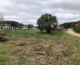 Apleistų sklypų tvarkymas - Medžių, krūmų pjovimas, genėjimas, apleistų sklypų tvarkymas - 1