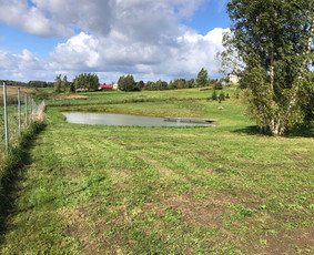 Pievų šienavimas - Medžių, krūmų pjovimas, genėjimas, apleistų sklypų tvarkymas - 2