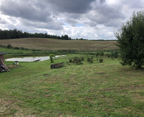 Pievų šienavimas - Medžių, krūmų pjovimas, genėjimas, apleistų sklypų tvarkymas - 1