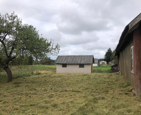 Sklypų tvarkymas, medžių, krūmų pjovimas, genėjimas. / Audrius / Darbų pavyzdys ID 4175433