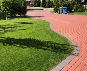 Žolės pjovimas - Medžių, krūmų pjovimas, genėjimas, apleistų sklypų tvarkymas - 4