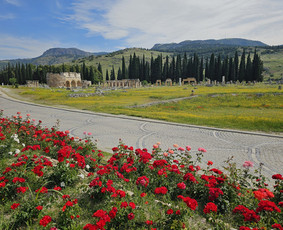Kelionių organizavimas - Nepermokėk už kelionę! Pigios kelionės, paskutinė minutė! - 1
