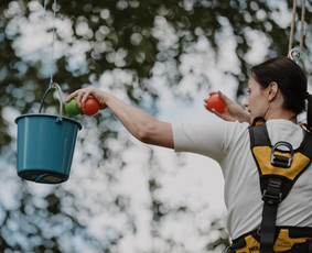 Komandiniai žaidimai - Komandos formavimo programos - 3