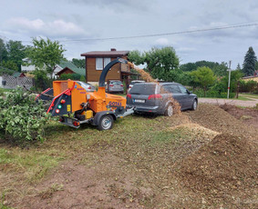 Aplinka, sodas - Sniego valymas, Aplinkos tvarkymas - 4