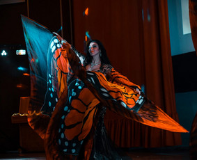 Renginiai, šventės - Pilvo šokėjų šou programa Jūsų šventei! - 1