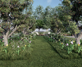 Statybos, apdaila - Kraštovaizdžio projektavimas - 2