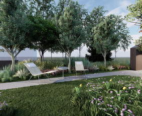Statybos, apdaila - Kraštovaizdžio projektavimas - 1