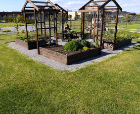 Sodo, mediniai nameliai - Statybos darbai nuo 0 iki rakto - 1