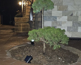 Skydiniai namai - Individualių namų Statytojai - 4