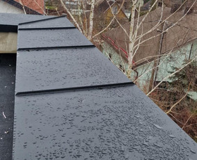 Parapetų skardinimas - Skardos Vizija - 4