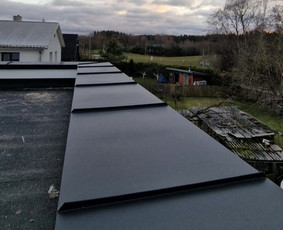 Parapetų skardinimas - Skardos Vizija - 1