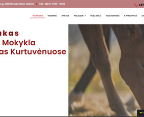 React / Wordpress / Shopify / El. Parduotuvės ir svetainės / Tomas / Darbų pavyzdys ID 4177567