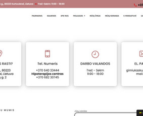 React / Wordpress / Shopify / El. Parduotuvės ir svetainės / Tomas / Darbų pavyzdys ID 4177573