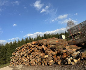 Kokybiškos Lapuočių Malkos, Klaipėda / Vitalijus / Darbų pavyzdys ID 4178167