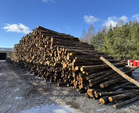 Kokybiškos Lapuočių Malkos, Klaipėda / Vitalijus / Darbų pavyzdys ID 4178175