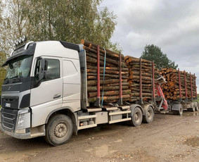 Kokybiškos Lapuočių Malkos, Klaipėda / Vitalijus / Darbų pavyzdys ID 4178193