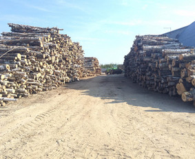 Kokybiškos Lapuočių Malkos, Klaipėda / Vitalijus / Darbų pavyzdys ID 4178213