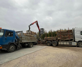 Kokybiškos Lapuočių Malkos, Klaipėda / Vitalijus / Darbų pavyzdys ID 4178263