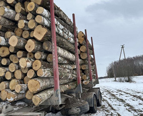 Kokybiškos Lapuočių Malkos, Klaipėda / Vitalijus / Darbų pavyzdys ID 4178343