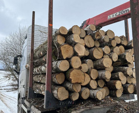 Kokybiškos Lapuočių Malkos, Klaipėda / Vitalijus / Darbų pavyzdys ID 4178345